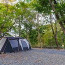 보현민박 이미지