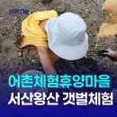 대야도어촌체험휴양마을 | 서산 갯벌체험, 왕산 어촌체험휴양마을 조카와 다녀온 후기