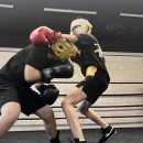 스페셜 복싱짐 이미지