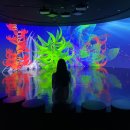 UR(제주시)-[용고로]-하-20 | 제주 서귀포 성산 실내 가볼만한 곳 :: 아쿠아플라넷 🐳