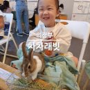 (주)게임캔버스 | 의정부 차차래빗 토끼카페 아이랑 체험 후기