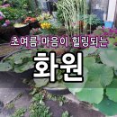 진영화원 이미지