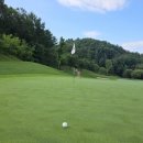 로드힐스 골프클럽 | 퍼블릭 명문골프장 베어크리크춘천 골프클럽 라운드 후기(2025. 06. 30.)