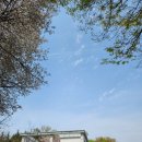 원고잔도서관 이미지