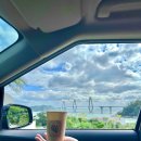 하유자적 이미지