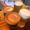 동일로163길 (9) | [서울 중랑] 내돈내산 신생 술집 코젤다크 ‘리얼펍 먹골역점‘ 추천 후기✨