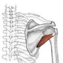 준피티샵 이미지