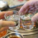 태백한우실비 네이버블로그