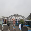 하니온천 | 부다페스트 루다스온천 후기 가격 루프탑 준비물 시간