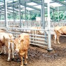 유정농장 이미지