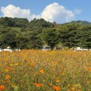 상림물레방아손두부 | 내 단짝 엄마와 가을나들이🍂 꽃천지 함양 상림공원, 현지인 찐맛집 추천 :: 상림물레방아 손두부