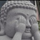 농협농산물직판장 | 추천하는 이천 가볼만한곳｜이천 로컬푸드 직매장 장보기 후기 (이천쌀·제철 농산물·지역화폐 사용 가능)