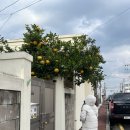 제주미헌 한옥 이미지