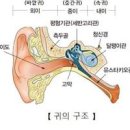 귀에서 소리가 나요 비닐소리 심장소리가 나요 이미지