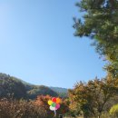 캐빈빌리지 펜션 이미지