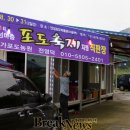 안성포도박물관 네이버블로그