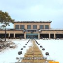 무화 | 영암 대형 무화과 베이커리 한옥카페 무화정 솔직 후기