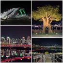 세종 도시와 자동차 | 세종 이응다리 주차장과 맛집 금강보행교의 낮과 밤 세종걷기좋은곳