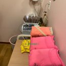 [부암동, 종로 마사지] 윤곽관리/ 스포츠마사지 추천 내 돈 내산 후기 &#39;라온명가&#39;관리 후기.