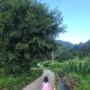 봉화드림펜션 | 가평펜션 라온빌 독채 수영장