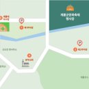신도안면 야구장 네이버블로그