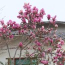 청암식당 이미지