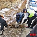 화흥농장 이미지