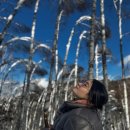 진흥명품세탁 이미지