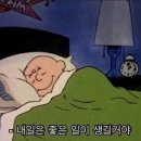파브롯 이미지