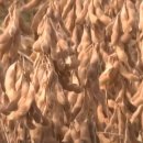 제일축산영농조합법인 이미지