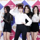 모모 이미지