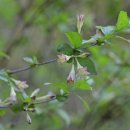 산천초목 이미지