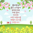 꽃길 - 동작구 | 꽃길