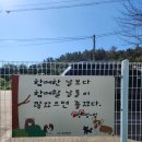 JS당구장 | 경주 갓성비 애견동반 풀빌라 추천, JS애견펜션 내돈내산 후기