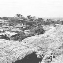 제주구도 이미지