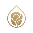 누가제통마취통증의학과의원 이미지