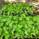 모가농협 앞 이미지