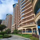 채원목장 | 홍천 소노펠리체 파크뷰 조식선예약 요금및 숙박 조식 후기