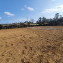 동교공인중개사사무소 이미지