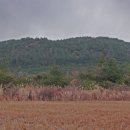 혜림목장 이미지