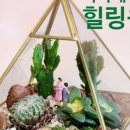 산림문화협동조합더그루 이미지