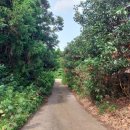 시흥리-6 이미지