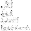 용인대 MJ 유도관 이미지