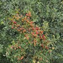 상북면행정복지센터 이미지