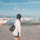 비오비PC | 필리핀 이트래블 작성방법📋 보홀 입국 신고서 최신 후기 &amp; 보홀 공항세