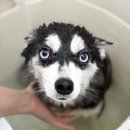 (유)제일에너지 이미지