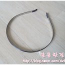 헤어리폼