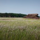 청정발전소 이미지