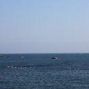 송학횟집 이미지