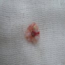 현대통통의원 이미지